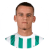 Theofanis Bakoulas