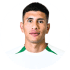 Nicolas Castro