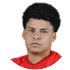 Emerson Urso