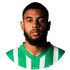 Willem Geubbels
