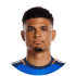 Miles Robinson