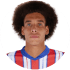 Axel Witsel
