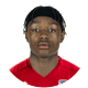 Yvandro Borges Sanches