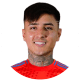 Erick Pulgar