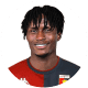 David Ankeye