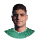 Mahmoud Shabana