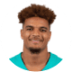 Minkah Fitzpatrick
