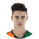 Damiano Pecile