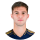 Marco Pellegrino