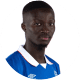 Mohamed Diomande