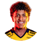 Dylan Luque