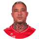 Radja Nainggolan