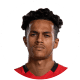 Fabio Carvalho