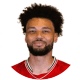 Lee Angol