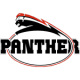 Düsseldorf Panther