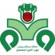 Zob Ahan