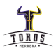 Toros De Herrera