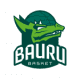 Bauru Basket