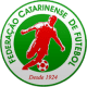 Catarinense, Brasil