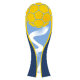 U20 World Cup, इंटरनेशनल