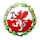 Trafford FC crest