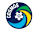 New York Cosmos crest