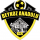 Beykoz Anadolu crest