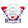 Linköpings VC crest