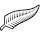 New Zealand crest