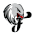 Nurnberg Falcons BC crest