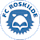 FC Roskilde crest