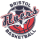 Bristol Flyers crest