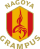 Nagoya Grampus crest