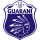 Guarani de Palhoça crest