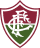 Fluminense/Rj Youth crest