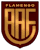 Flamengo/Sp Youth crest