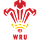 Wales U20 crest
