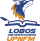 Lobos UPN crest