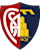 Montevarchi Calcio crest