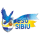 Csu Sibiu crest