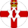 N. Ireland U21 crest