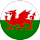 Wales U17 crest