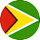 Guyana U20 crest