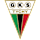 GKS Tychy crest