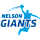Nelson Giants crest