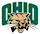 Ohio (W) crest
