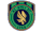 Al Ahli SC crest