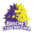 BC Timisoara crest