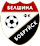 Belshina Bobruisk crest