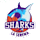 CD Sharks crest
